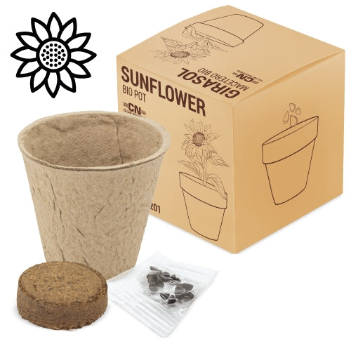 MACETA BIO GIRASOL "RAMILLETE"