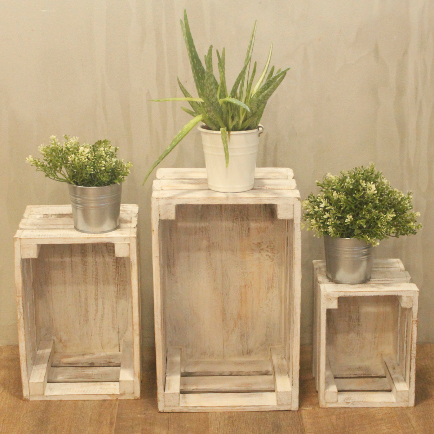 Coffret de 3 boîtes à fruits - Blanc