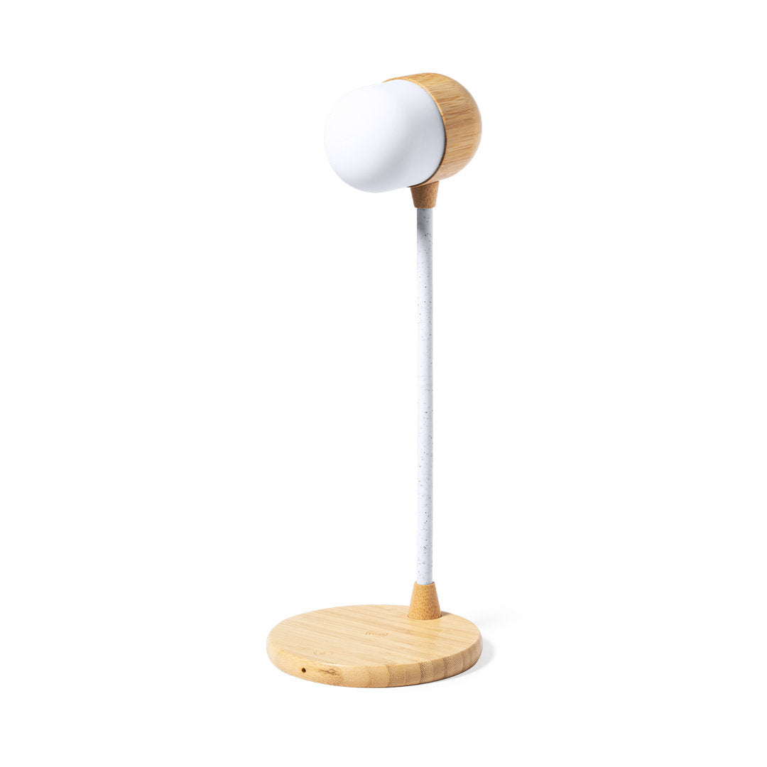 Lampe multifonction (lot de 20)