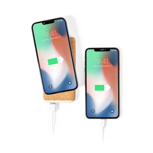 Power Bank (lote de 20)