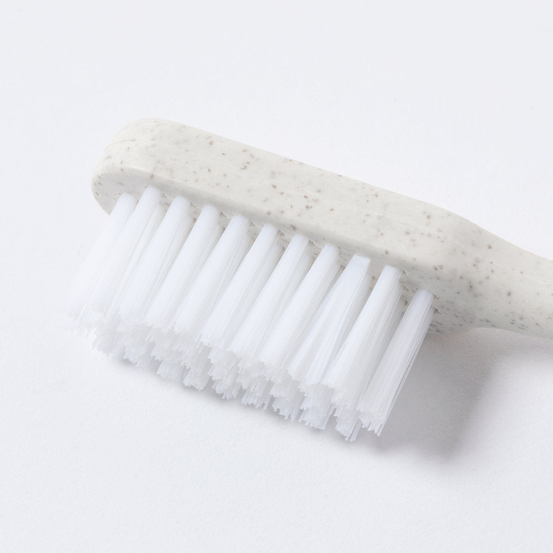 Cepillo Dientes (lote de 50)