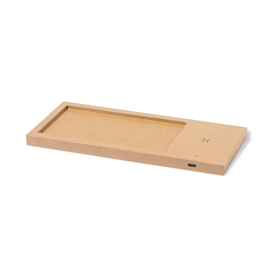 Cargador Organizador (lote de 25)