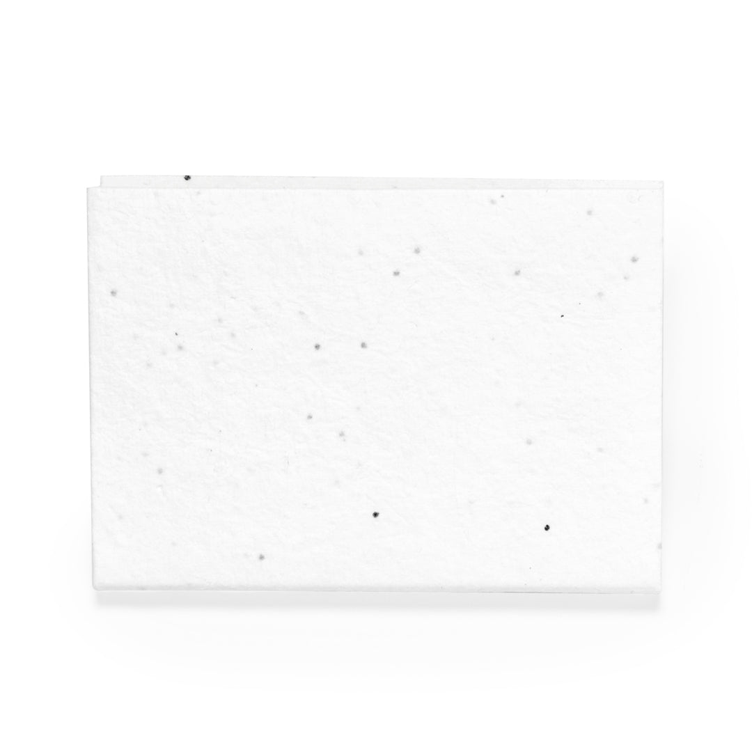 Blocs-notes Graines (lot de 100)