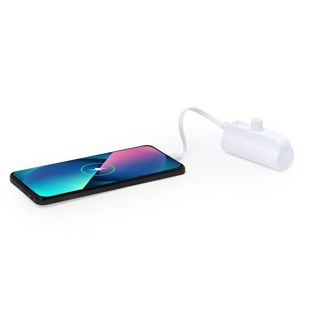Batterie externe (lot de 25)