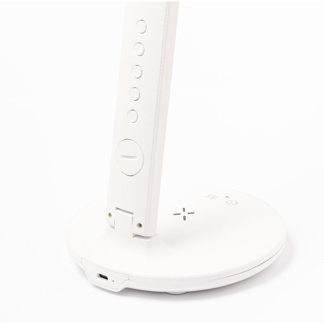Lampe multifonction (lot de 20)
