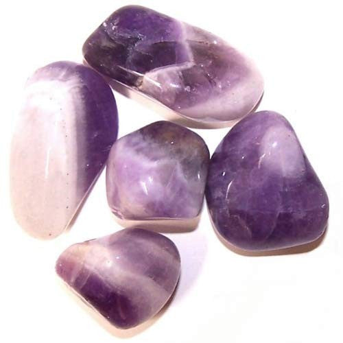24 x L Trommelsteine - Geäderter Amethyst