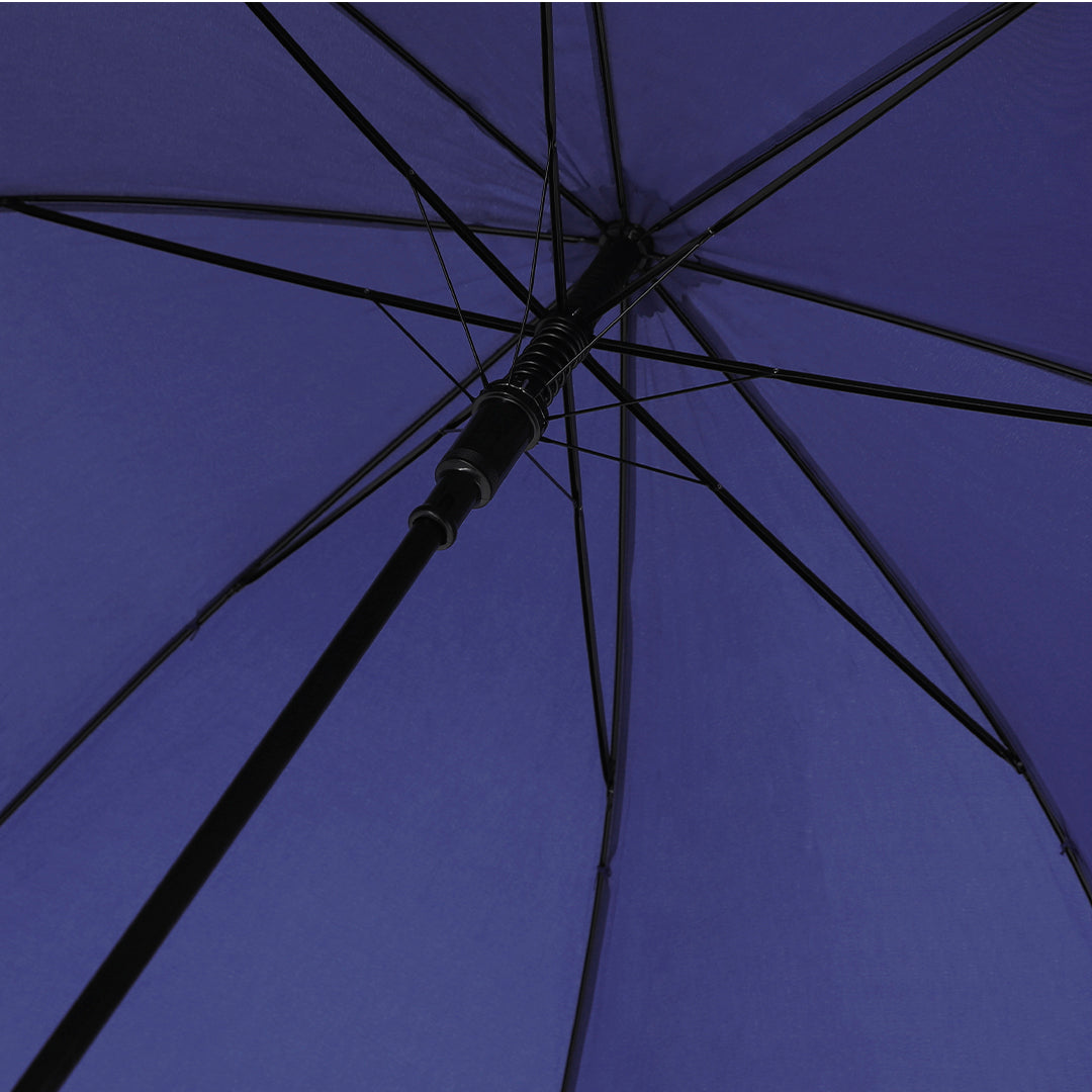 Parapluies (lot de 15)
