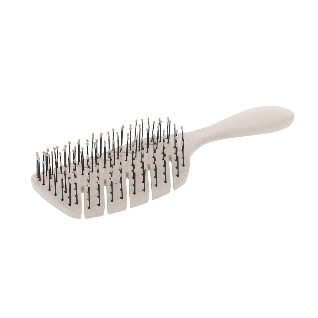 Anti-Haarbruch-Bürste (50 Stück)