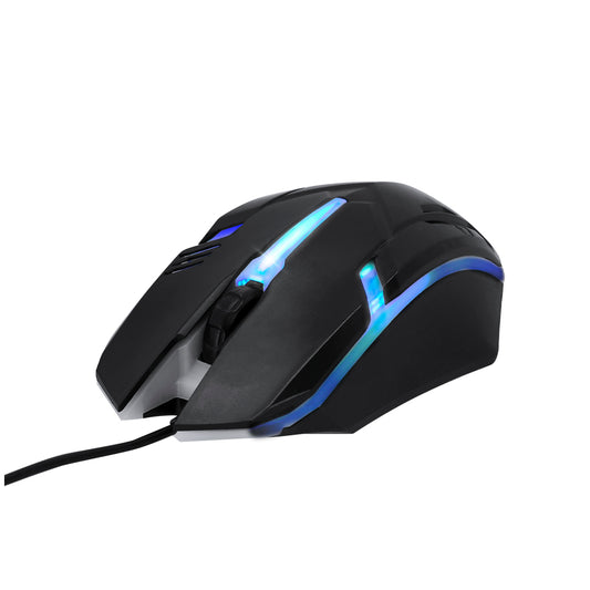 Souris (lot de 50)