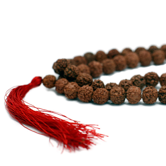108 Rudraksha Japa Mala - Braun