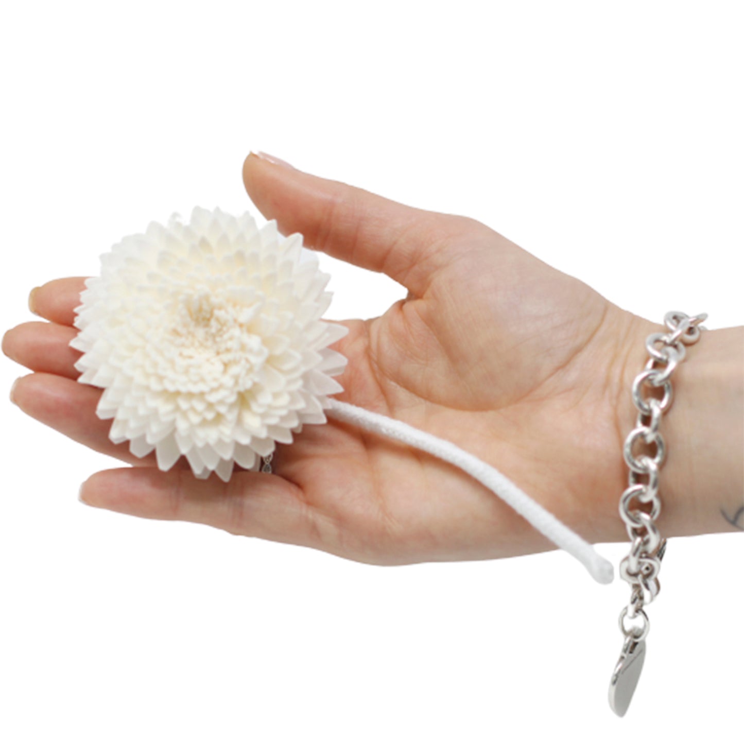 Natürlicher Blumendiffusor – Große Nelke am Seil