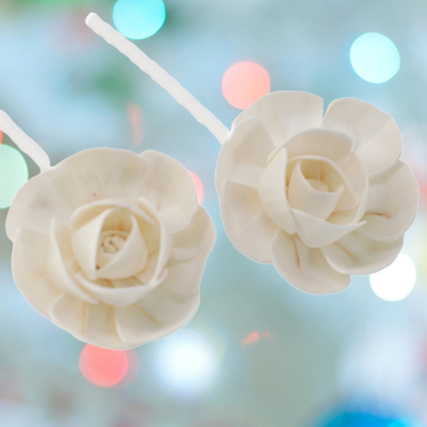 Fleurs naturelles pour diffuseur - Petit lotus sur corde