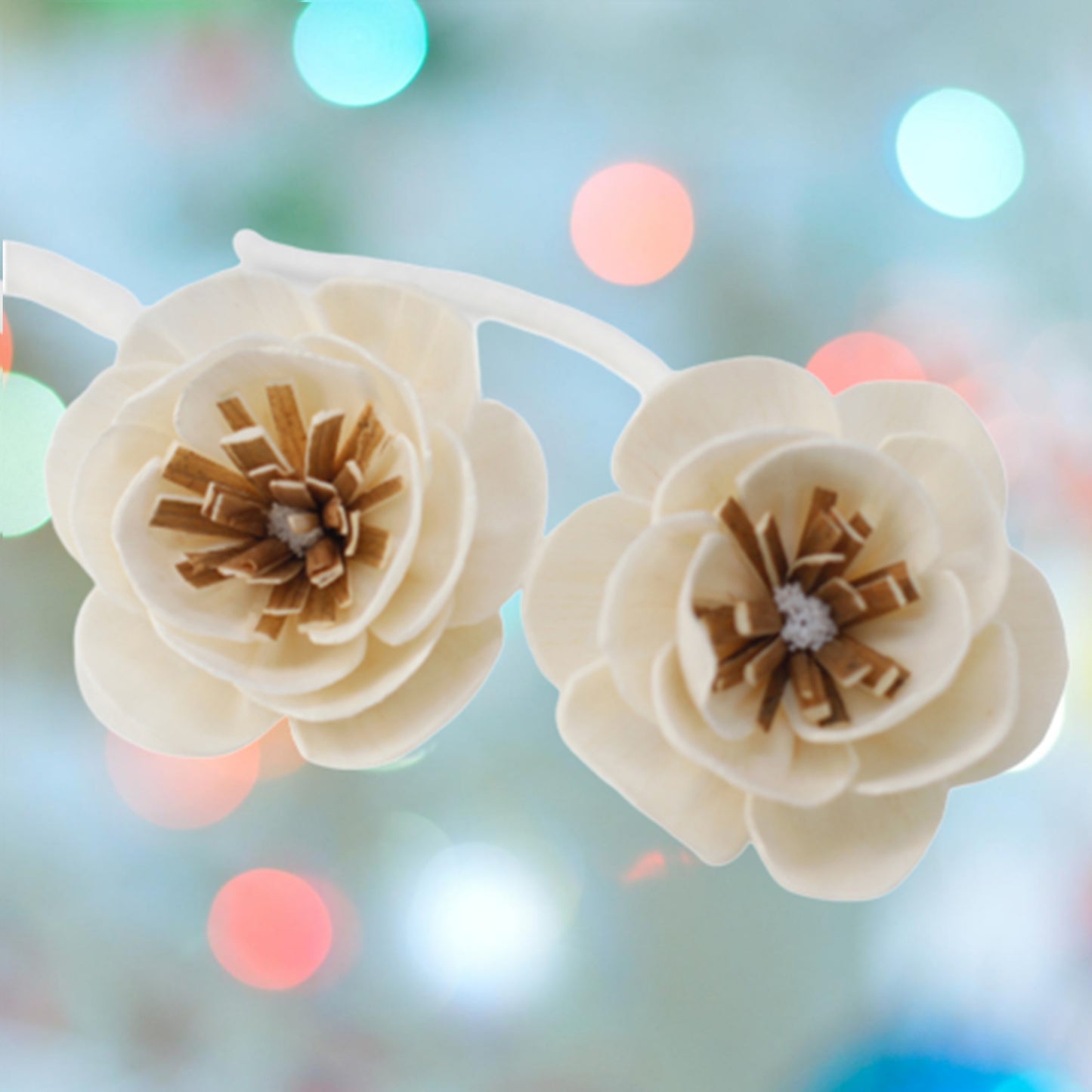 Fleurs naturelles pour diffuseur - Petit coquelicot sur corde