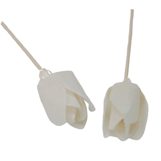 Natürlicher Blumendiffusor - Tulpe aus Rohr