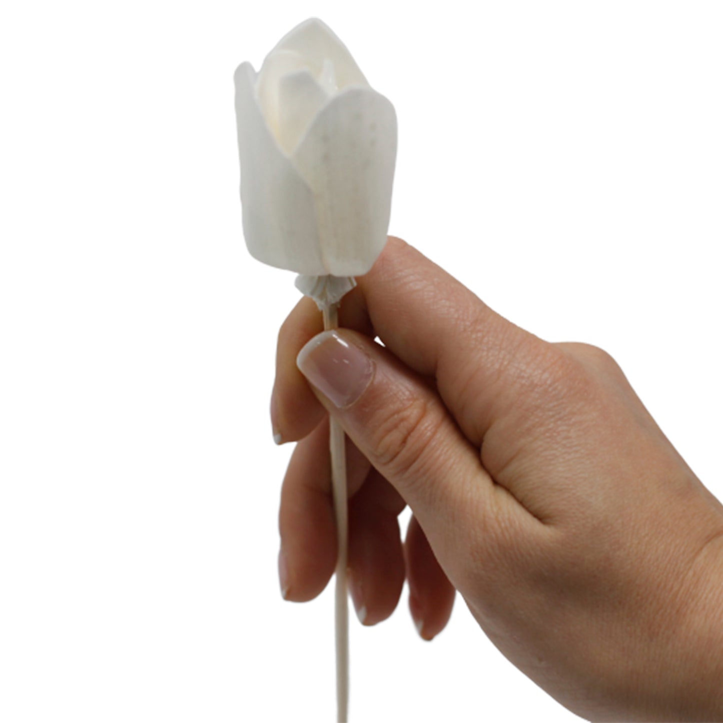 Natürlicher Blumendiffusor - Tulpe aus Rohr