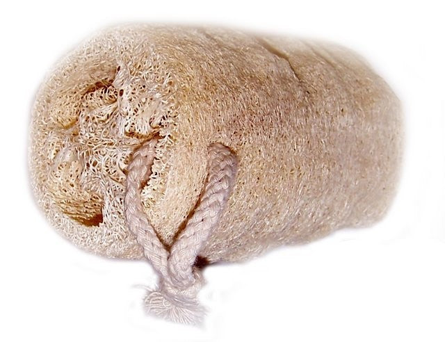 Luffa-Peeling für Leder