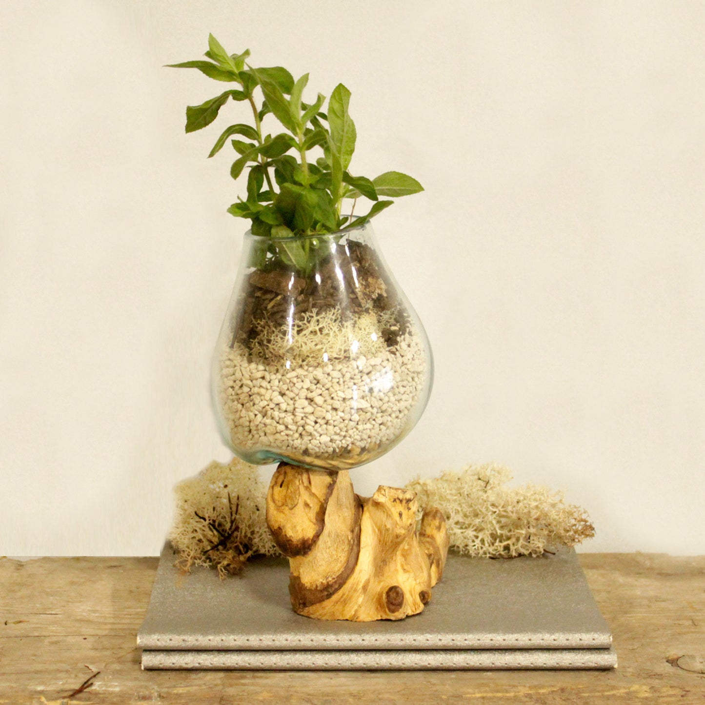 Verre fusionné sur bois - Bol moyen