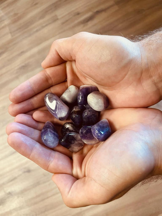 24 x Gebänderter Amethyst L (Klasse B)