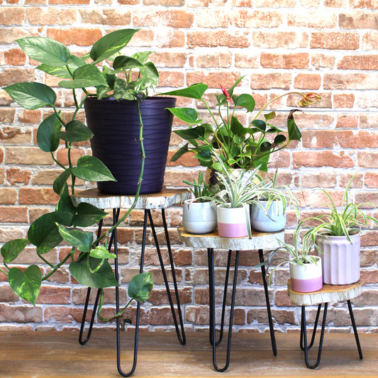 Lot de 3 jardinières en bois Gamell - Blanchi