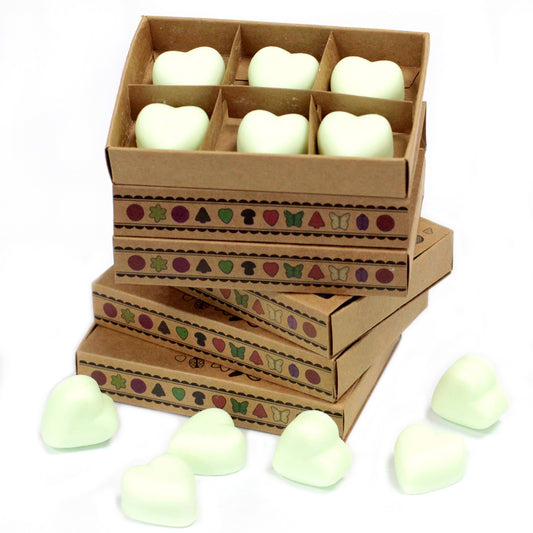 Coffret de 6 fondants à la cire de soja - Menthe et menthol