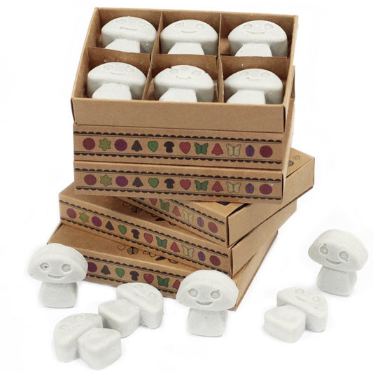 Coffret de 6 fondants à la cire de soja - Patchouli