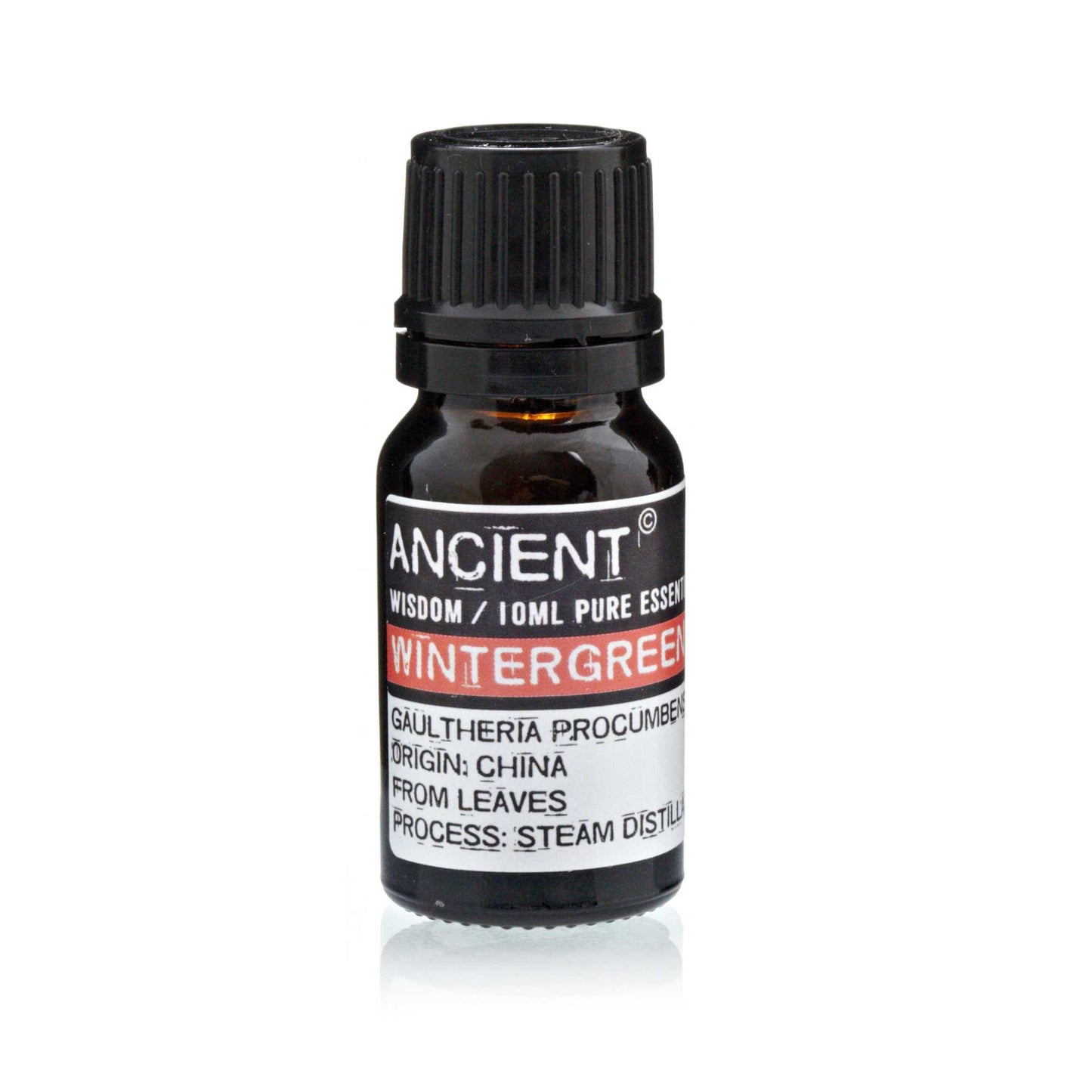 Wintergrün ätherische Öle 10ml