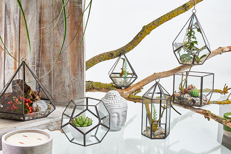 Glasterrarium - Großer Diamant
