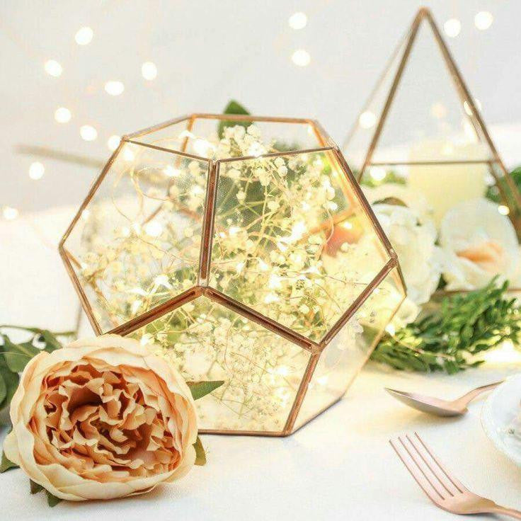 Terrarium en verre - Cube d'angle