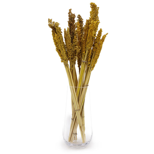 Bouquet d'herbes de Cantal - Ambre