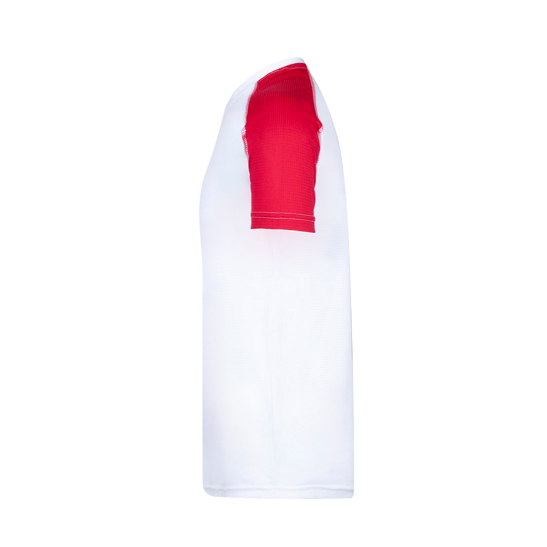 Camiseta Adulto (lote de 10)