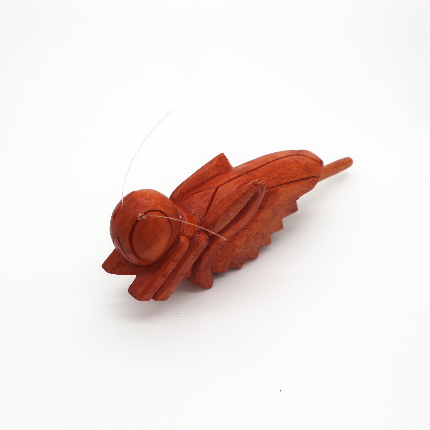 Knurrende Waldheuschrecke