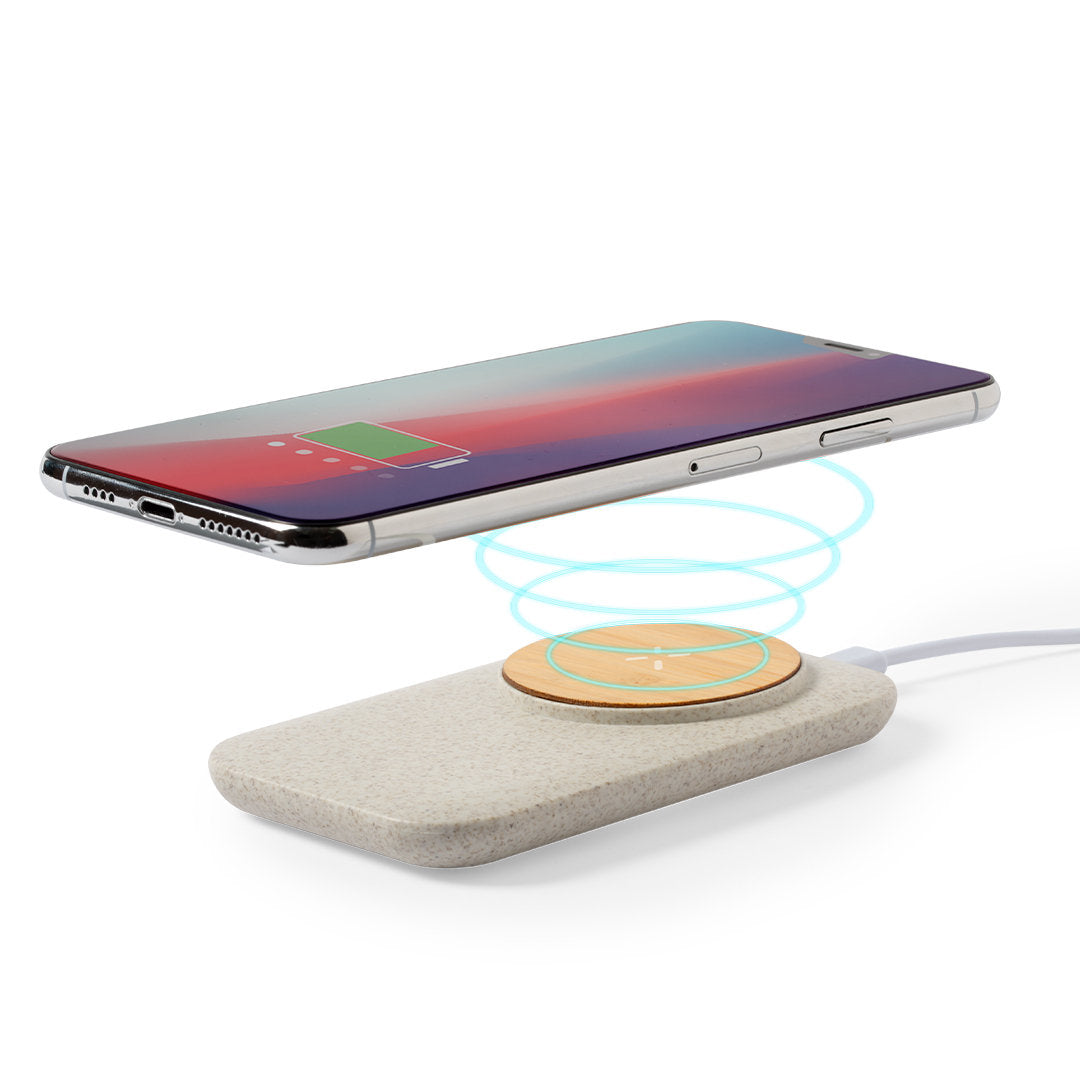 Chargeur (lot de 25)