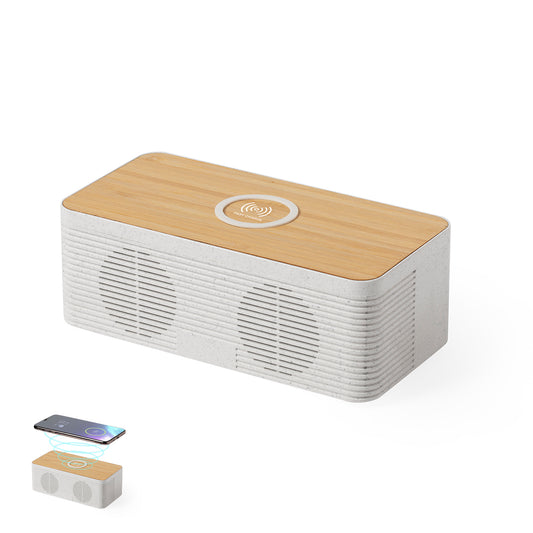 Altavoz Cargador (lote de 15)