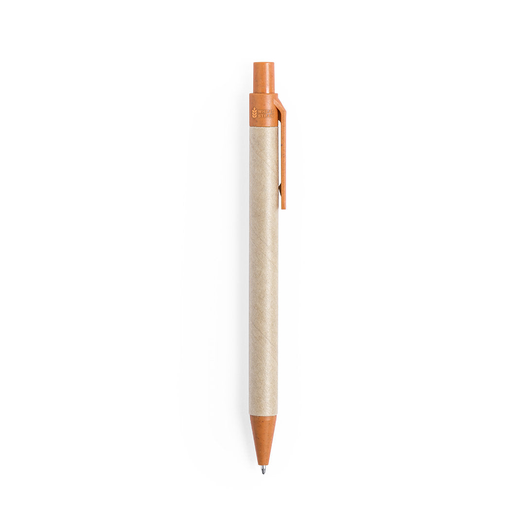Stylo (lot de 100)