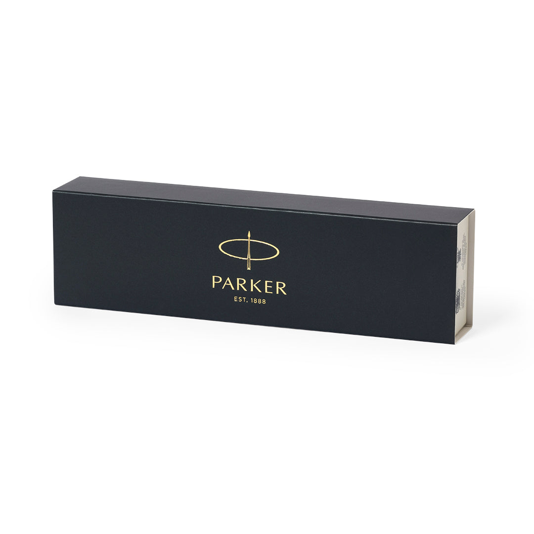Stylo (lot de 100)