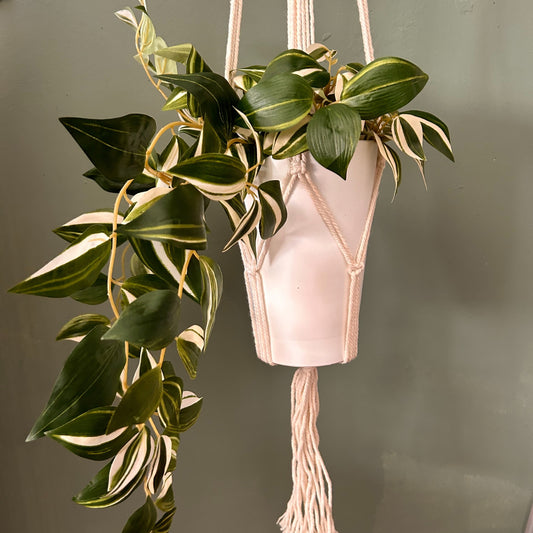 Support classique en macramé - Pot de fleurs naturel