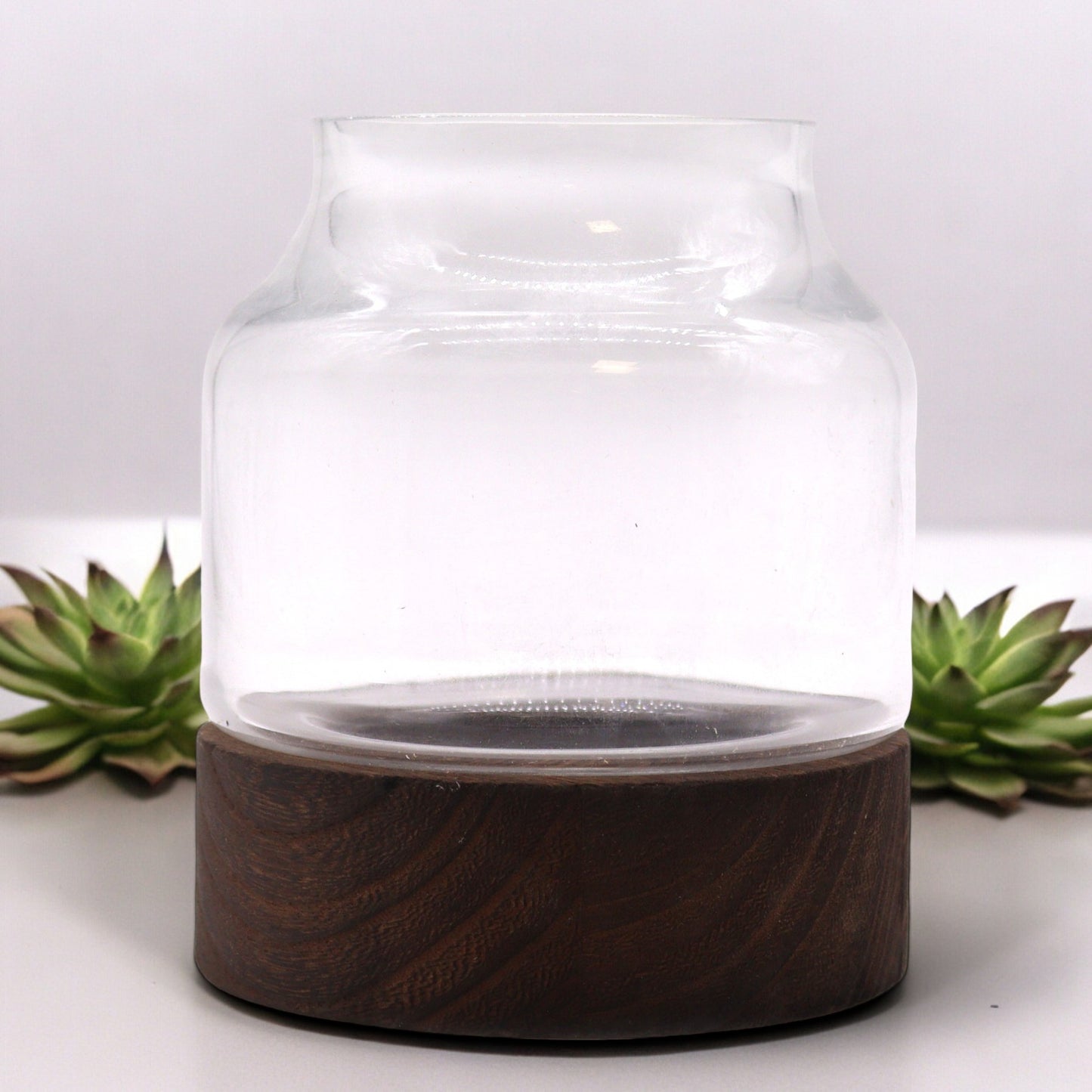 Kleines Terarium aus dunklem Tungholz – 12 x 13 cm