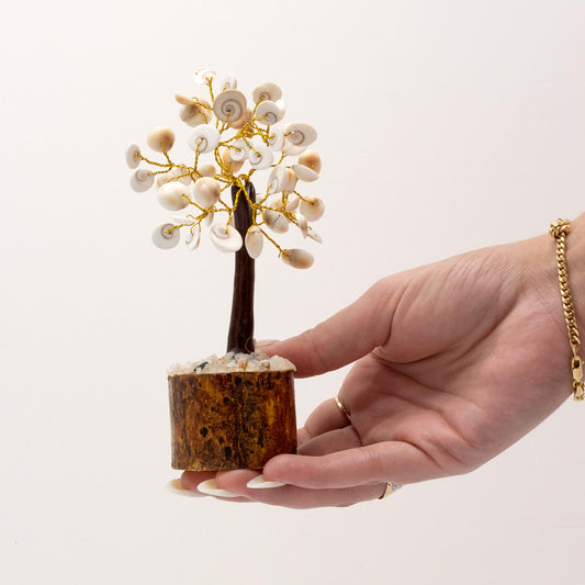 Arbres de pierres de chakra Gomati, cercle moyen - (45 pierres)