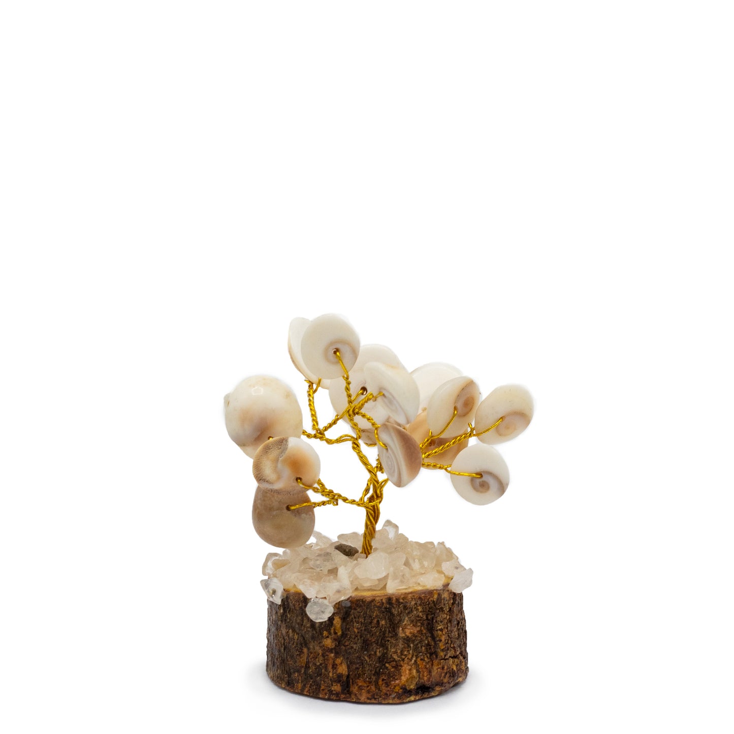 12 x Pequeño Gomati Chakra Árboles de Piedra Círculo con Rudraksha - (15 piedras)