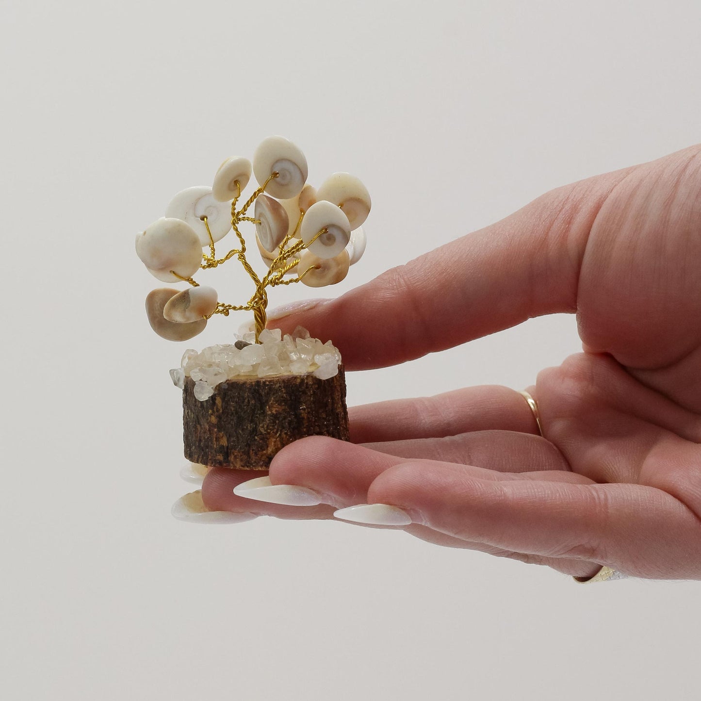12 x Pequeño Gomati Chakra Árboles de Piedra Círculo con Rudraksha - (15 piedras)