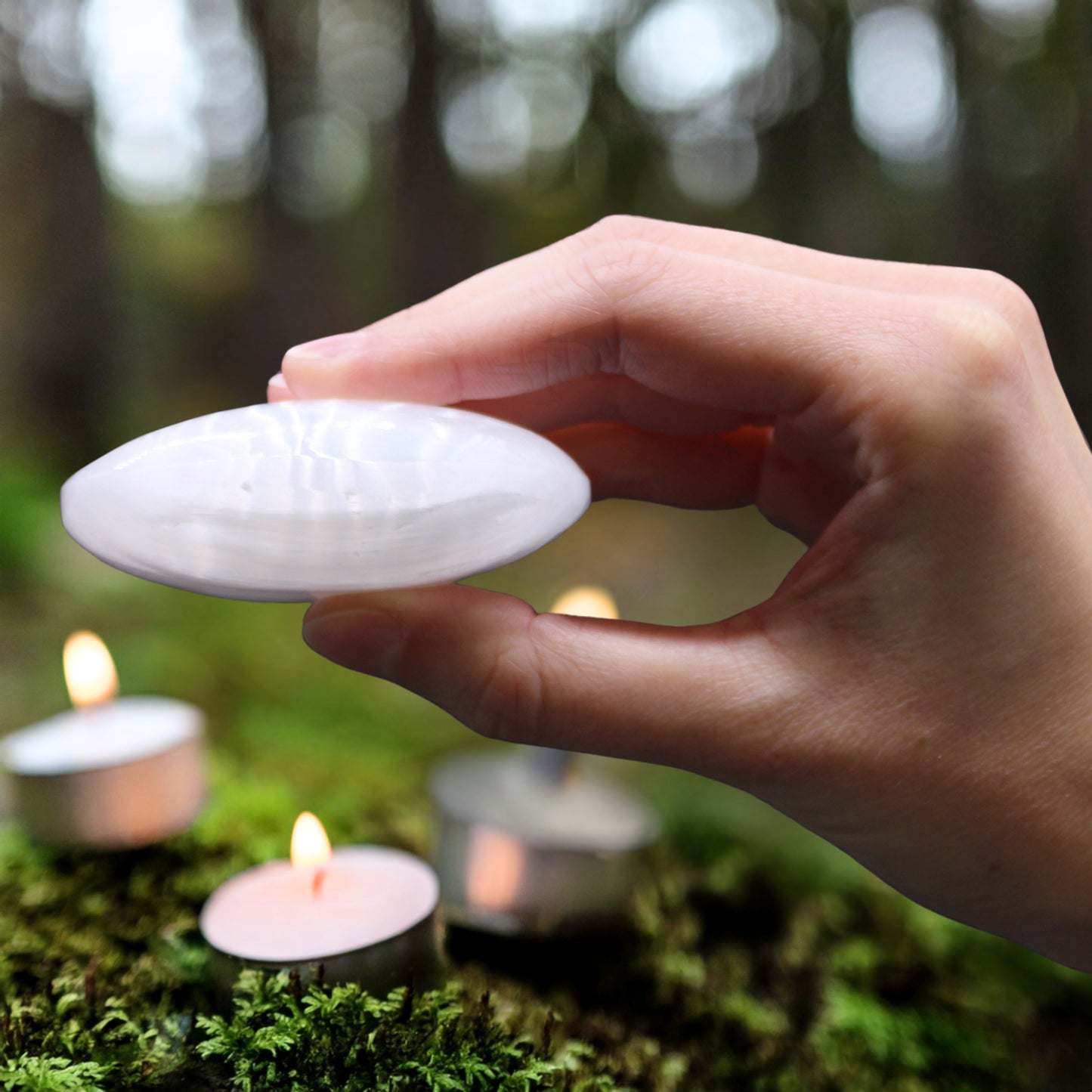 Pierre de palmier en sélénite - 8 cm