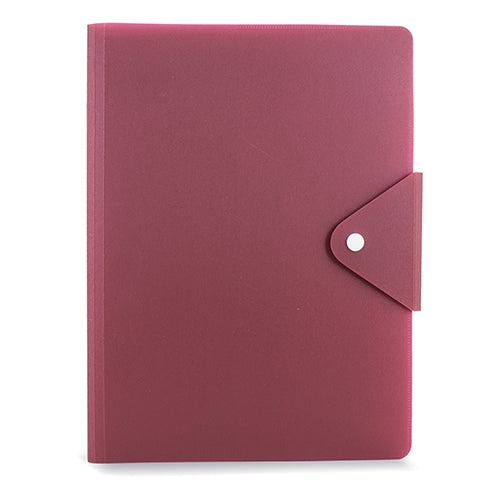 CARPETA CONGRESISTA "BROC"