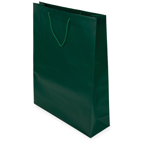 Sac cadeau en PVC vert