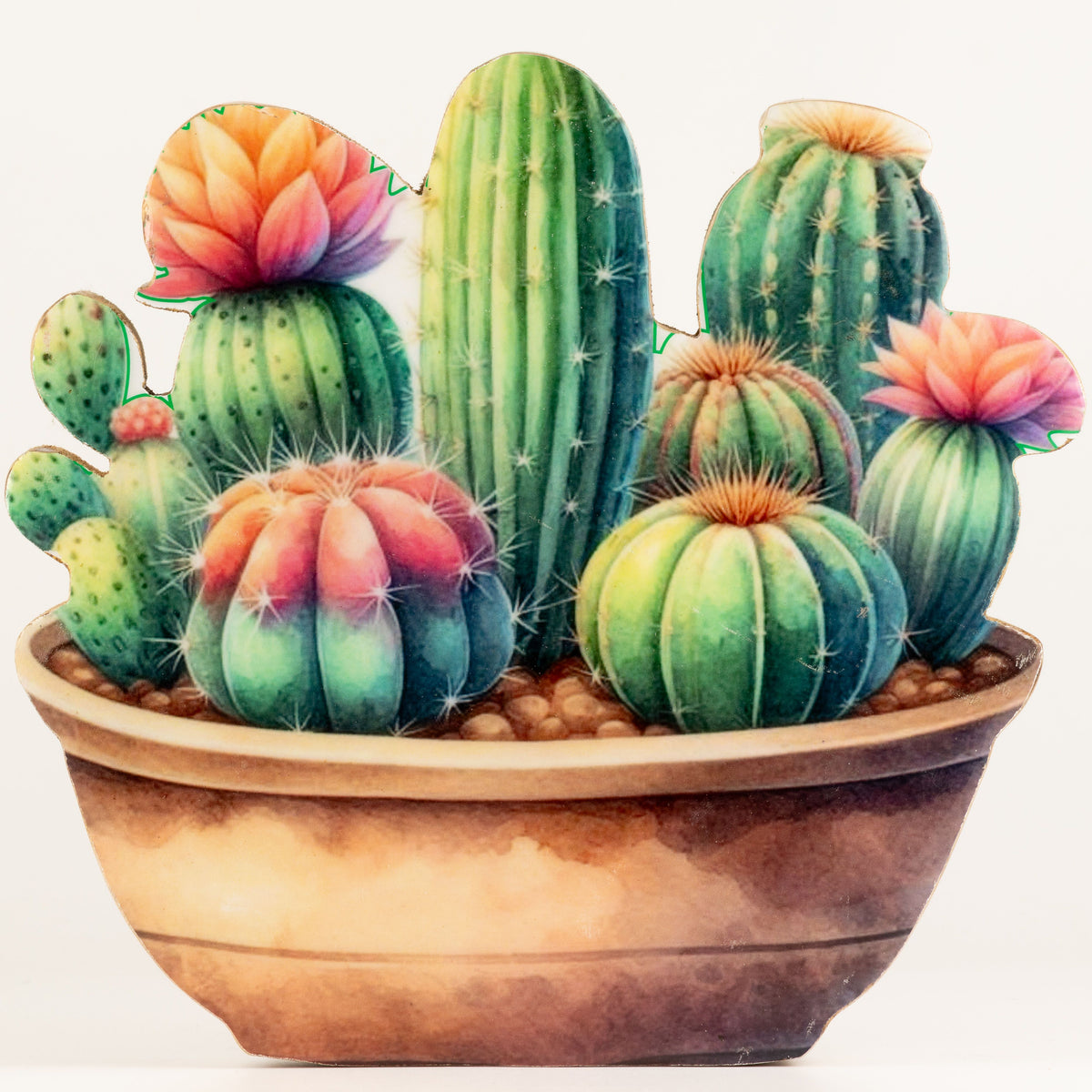 Plantas decorativas de madera - Jardín de cactus grande