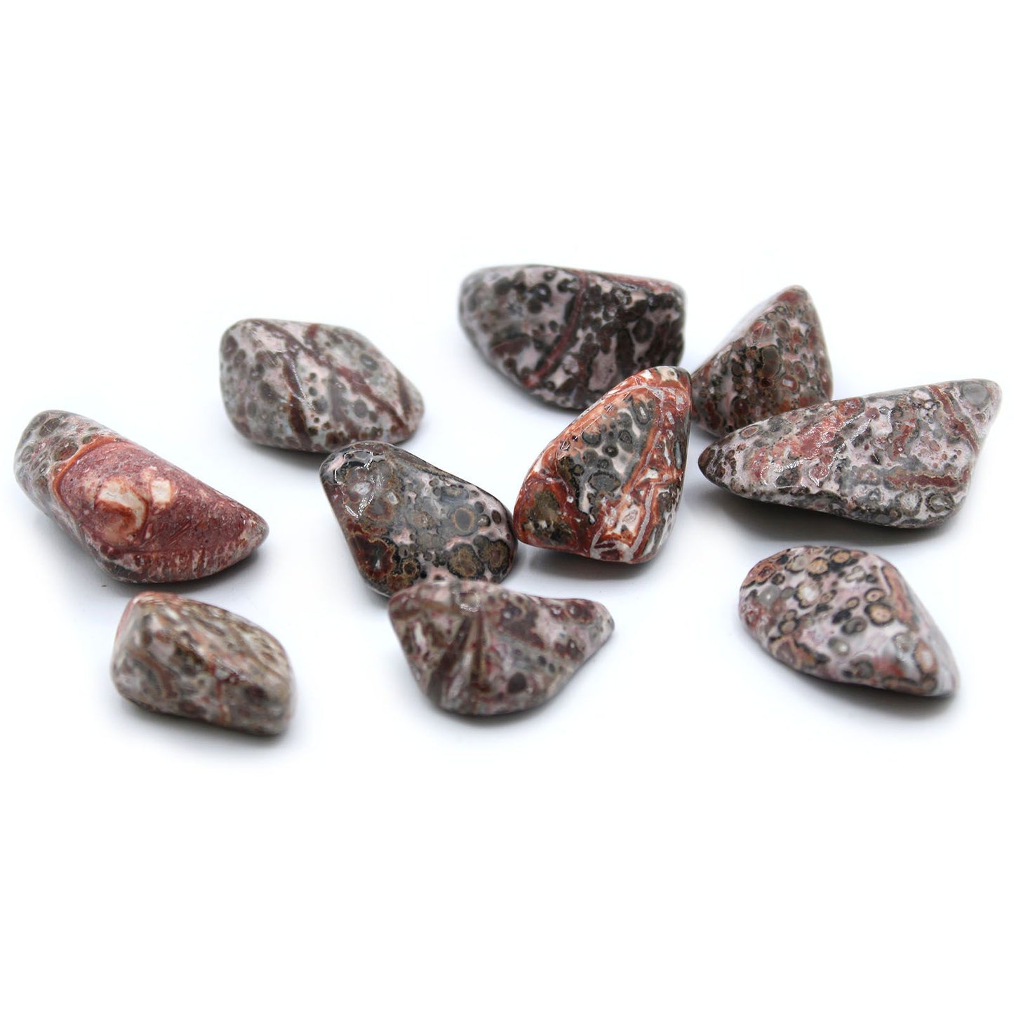 24 x L Tumble Stones - Leopard Skin