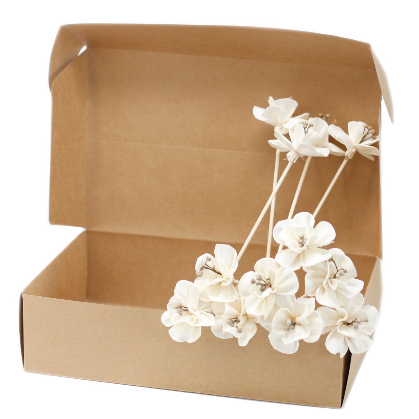 Natürlicher Blumendiffusor – Lilie im Schilf