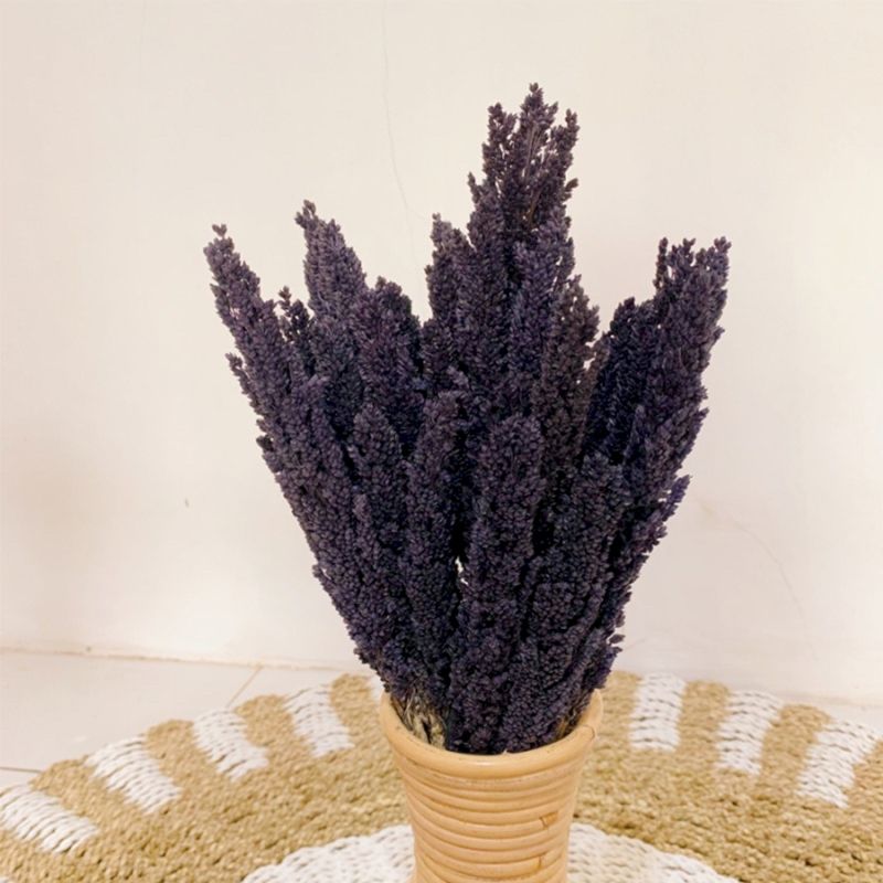 6 x Manojo de Hierba Cantal - Negro