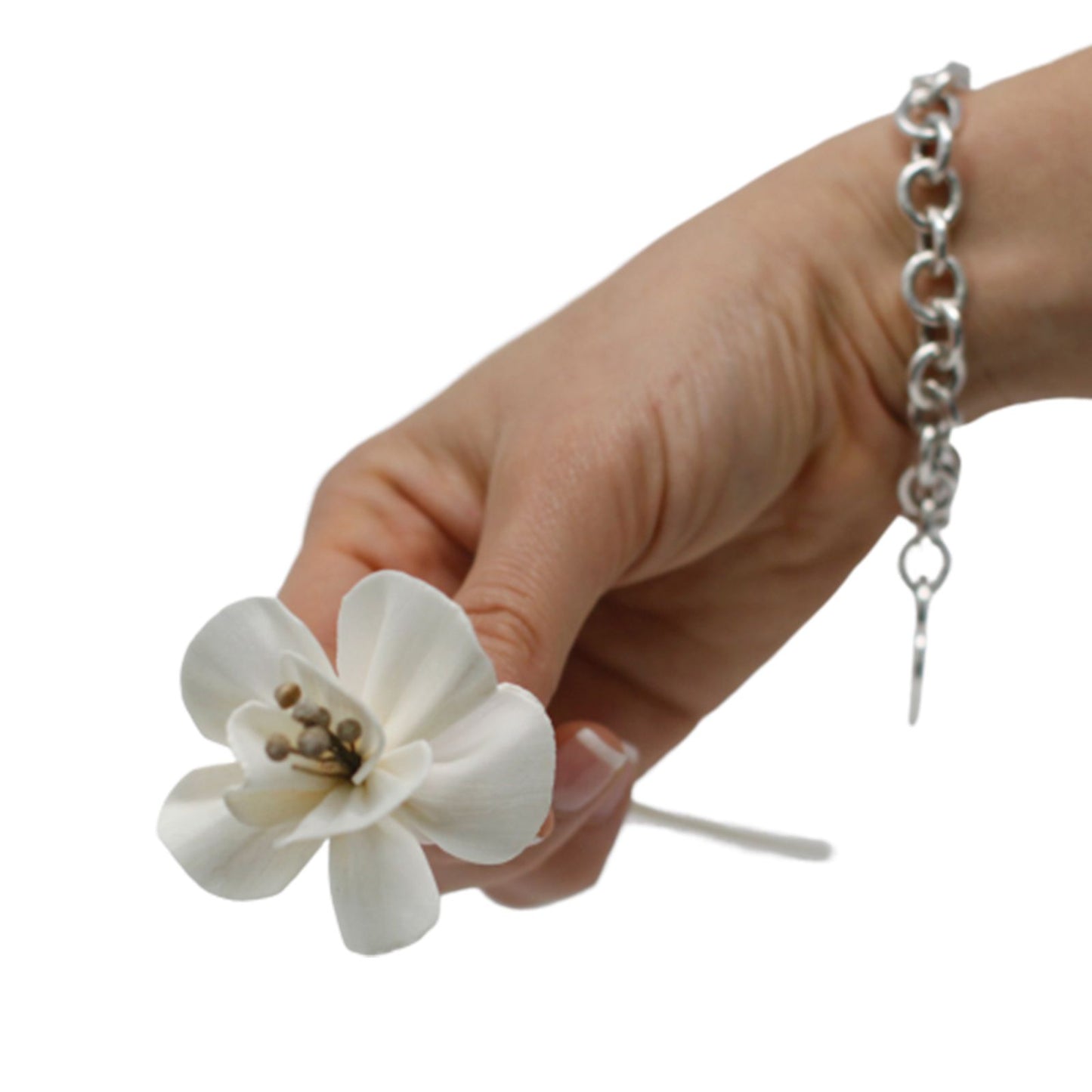 Natürlicher Blumendiffusor – Lilie im Schilf
