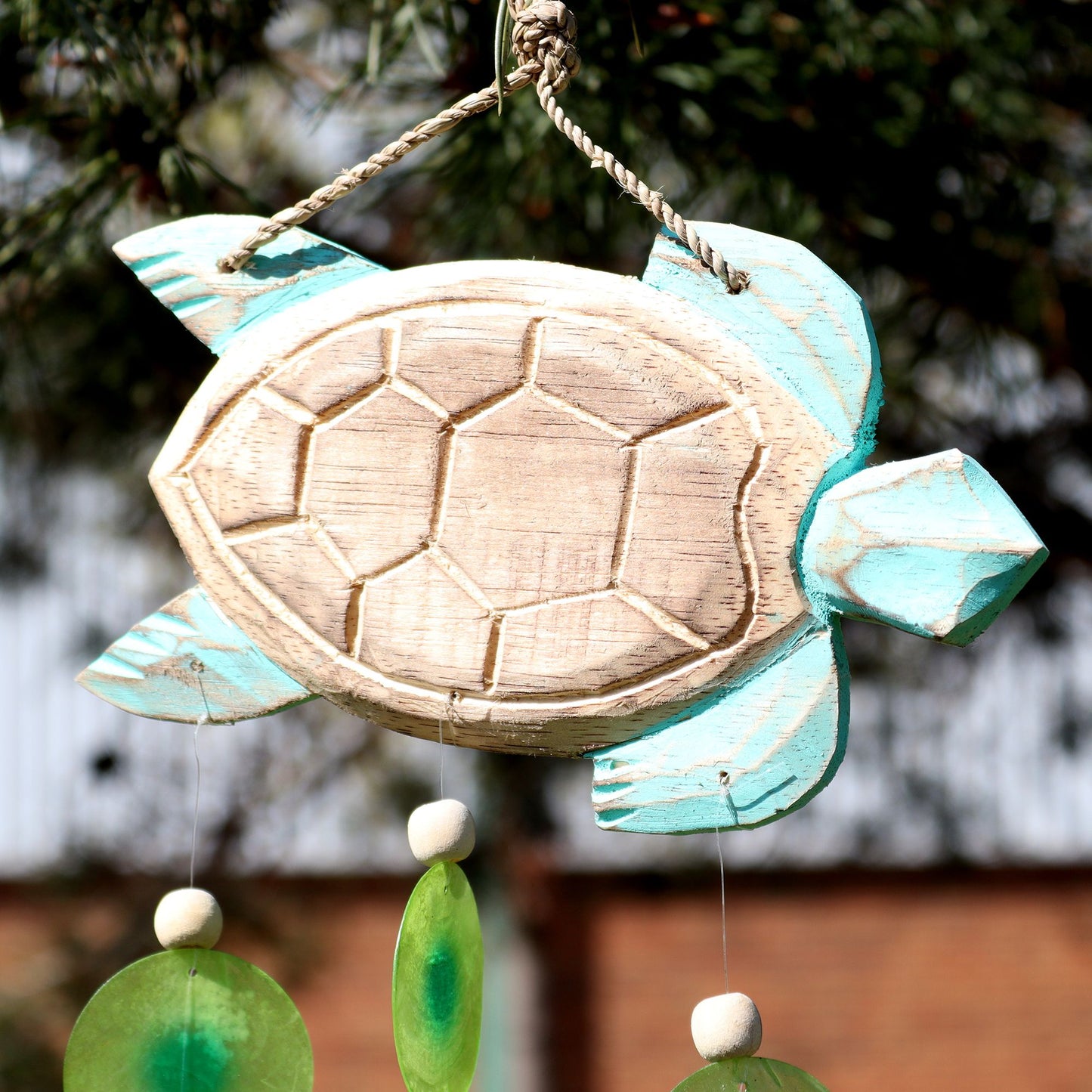 Tortue sculptée en Aqua et Drop