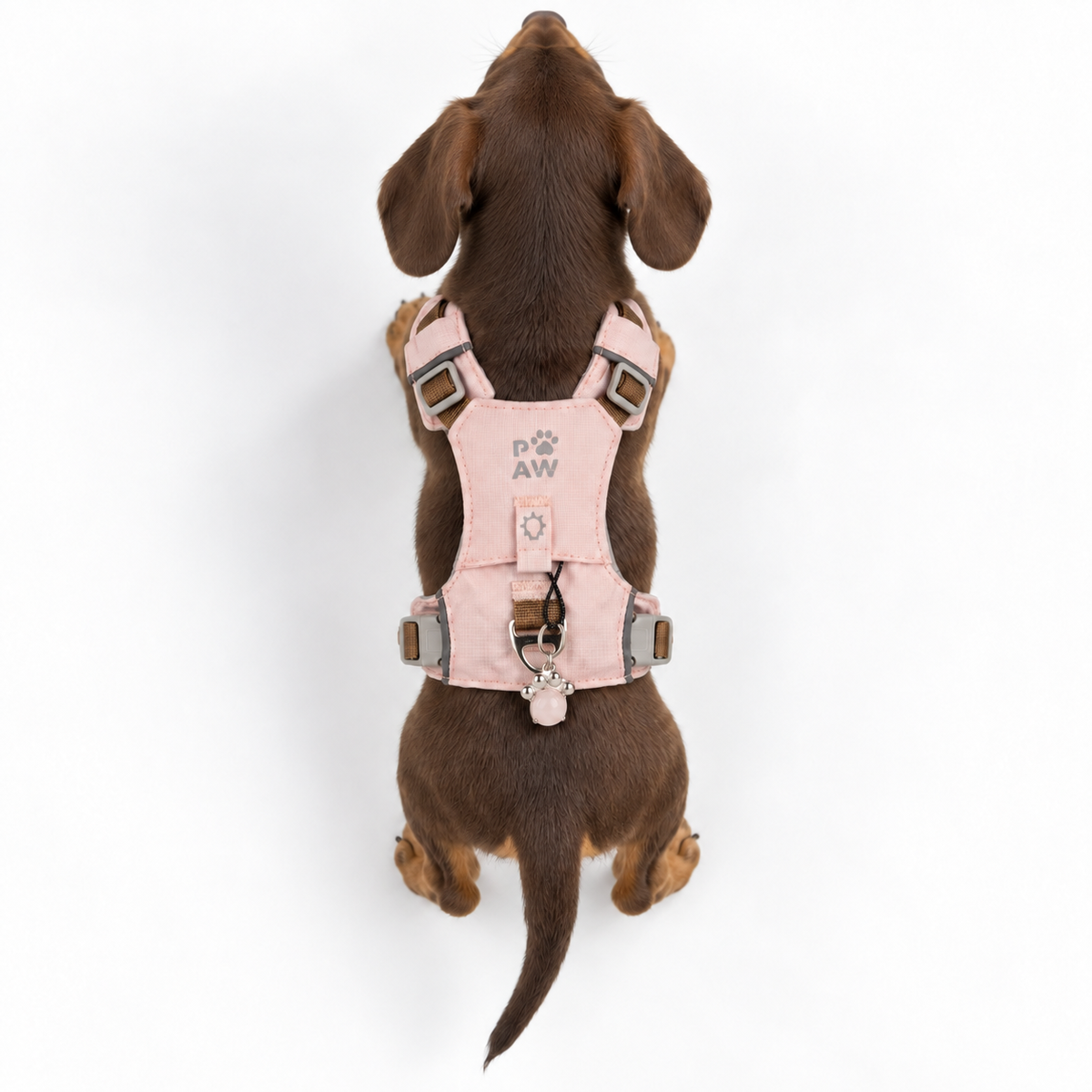 PAW - XS (2-4 kg) Arnés de paso para perros Guardian con malla reflectante - Rosa suave - Colgante de cuarzo rosa